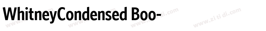 WhitneyCondensed Boo字体转换